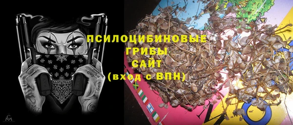 мет Алексин