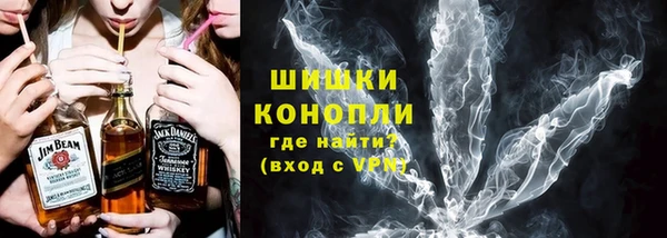 мет Алексин