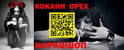 бошки Шелехов