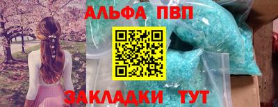 бошки Шелехов