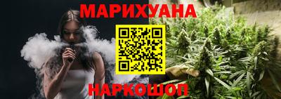 бошки Шелехов