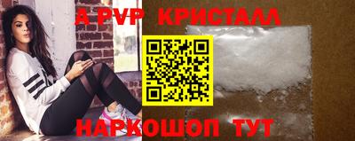 бошки Шелехов