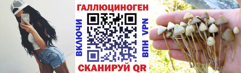 Псилоцибиновые грибы прущие грибы  Невинномысск 