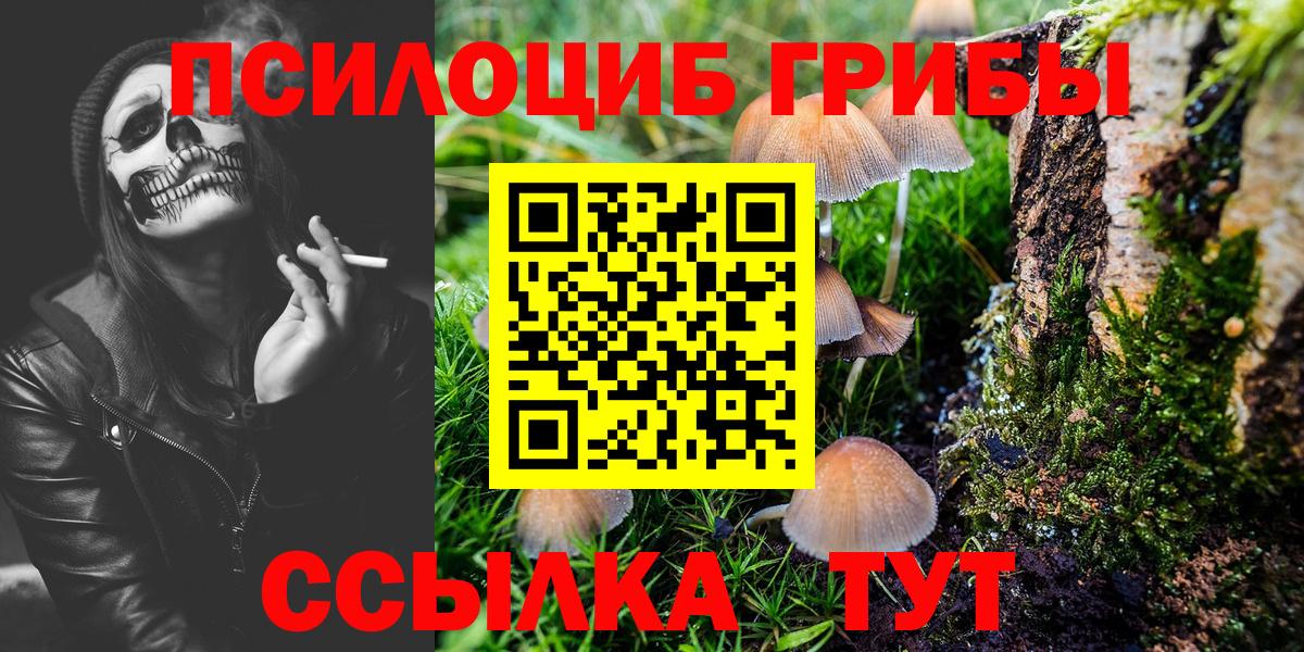 Псилоцибиновые грибы Psilocybine cubensis  Галлюциногенные грибы Cubensis  Невинномысск  Вход с VPN 